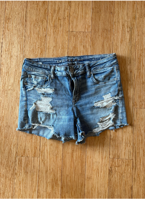 Women's American Eagle Shorts NE(X)T Level Stretch - Size 14
